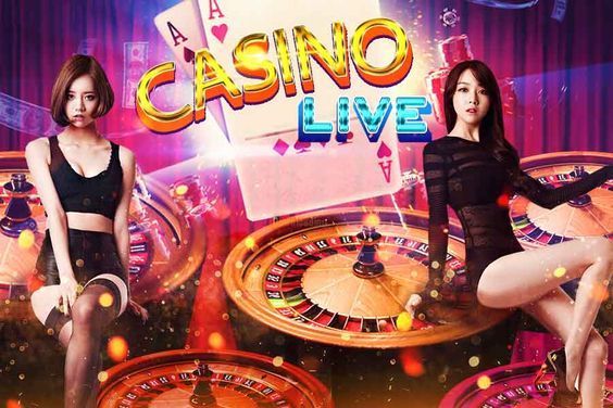 playTIcasino پاکستان ریئل منی گیمز